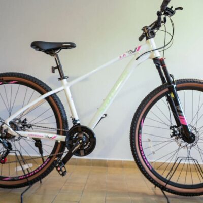 Bicicleta Mtb Samurai 3.0 Rodado 29